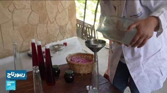الورود الشامية.. صناعة ماء الورد في قرية قصرنبا بلبنان