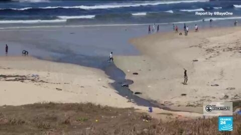 Investigating pollution on Dakar's beaches, and a rare dinosaur discovery