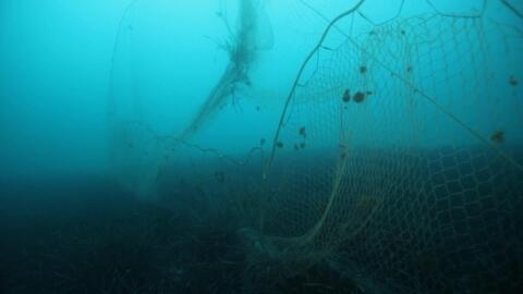 Lost at sea: The hidden cost of ghost gear
