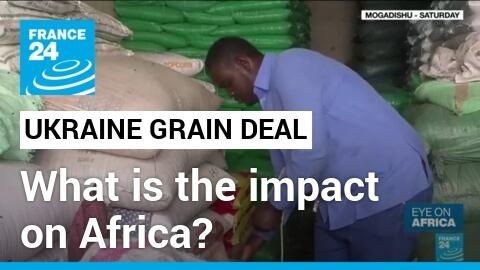Black sea grain deal expires: What is the impact on Africa?