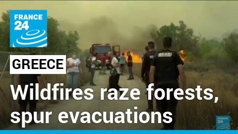 Greece heatwave: Wildfires raze forests, spur evacuations